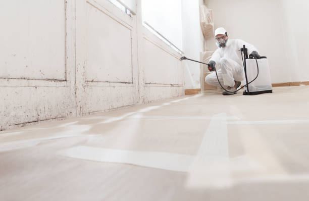 24/7 Emergency Mold Removal experts in Middletown, VA