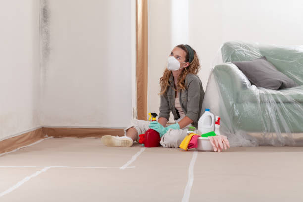 Reliable Mold Removal contractor in Middletown, VA by WQB Mold Removal