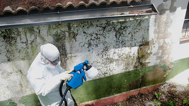 Top rated local Mold Removal specialists in Middletown, VA